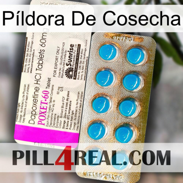 Píldora De Cosecha new07.jpg